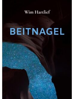 Brave New Books Beitnagel - Wim Hartlief