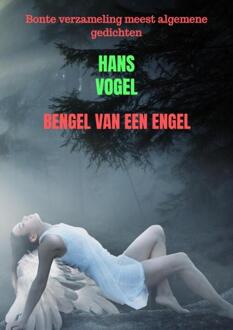 Brave New Books Bengel van een engel - (ISBN:9789464357325)