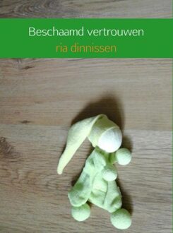 Brave New Books Beschaamd vertrouwen - eBook ria dinnissen (9402143424)