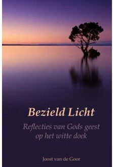Brave New Books Bezield Licht - Joost van de Goor