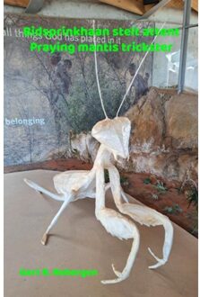 Brave New Books Bidsprinkhaan Stelt Attent - Praying Mantis Trickster - Gert R. Rebergen