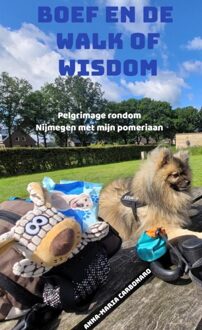 Brave New Books Boef en de Walk of Wisdom - Anna-Maria Carbonaro - ebook