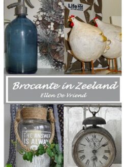 Brave New Books Brocante In Zeeland - Ellen de Vriend