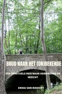 Brave New Books Brug naar het (on)bekende - Erika Van Rixoort - ebook