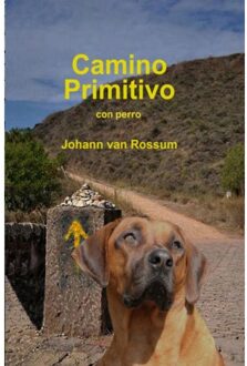 Brave New Books Camino Primitivo