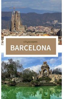 Brave New Books Cityscapes Barcelona - Lesley Nieuwenhuis
