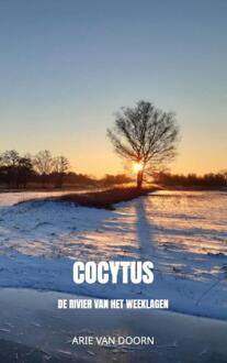 Brave New Books Cocytus - Arie Van Doorn