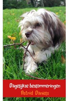 Brave New Books Dagelijkse beslommeringen - Boek Astrid Daniels (9402114114)