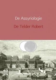 Brave New Books De Assyriologie herzien - Boek Telder De Robert (9402135723)