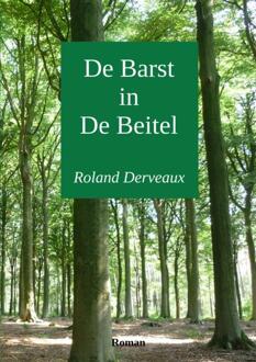 Brave New Books De Barst in De Beitel - Boek Roland Derveaux (9402127712)