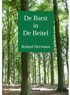 Brave New Books De Barst in De Beitel - Boek Roland Derveaux (9402127712)