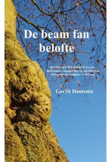 Brave New Books De beam fan belofte - Boek Gerrit Damsma (9402162585)