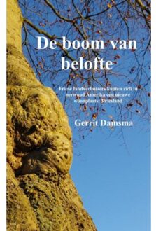 Brave New Books De boom van belofte - Boek Gerrit Damsma (9402157409)