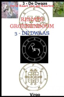 Brave New Books De Dwaas - Renate Groenenboom - ebook