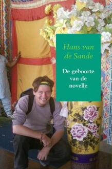 Brave New Books De geboorte van de novelle - Hans van de Sande - ebook