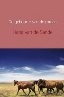 Brave New Books De geboorte van de roman - Boek Hans Van de Sande (9402152709)