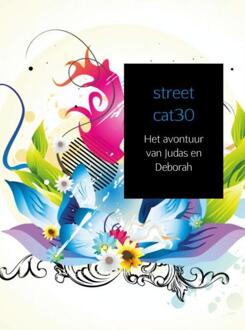 Brave New Books De geheime wereld van Kistairelers - Boek street cat30 (9402148388)