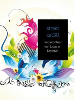 Brave New Books De geheime wereld van Kistairelers - Boek street cat30 (9402148388)