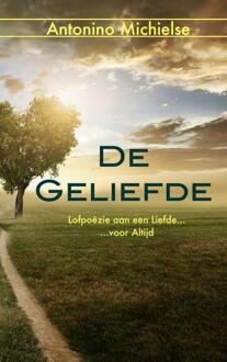 Brave New Books De geliefde - Boek Antonino Michielse (9402148469)