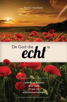 Brave New Books De God die echt is - Boek Richard Haverkamp (9402167080)