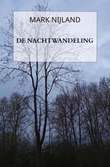 Brave New Books De Nachtwandeling - Mark Nijland - ebook