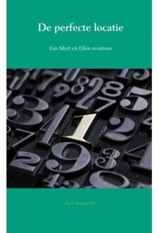 Brave New Books De perfecte locatie - Boek Karin Bogaarts-Ros (9402153349)