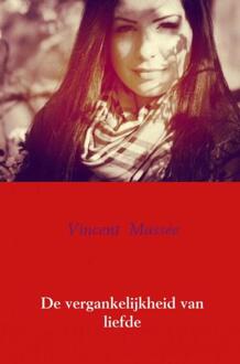 Brave New Books De vergankelijkheid van liefde - Boek Vincent Massée (9402177213)