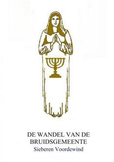 Brave New Books DE WANDEL VAN DE BRUIDSGEMEENTE - Boek Sieberen Voordewind (9402179437)