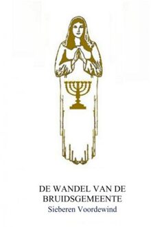 Brave New Books DE WANDEL VAN DE BRUIDSGEMEENTE - Boek Sieberen Voordewind (9402179437)