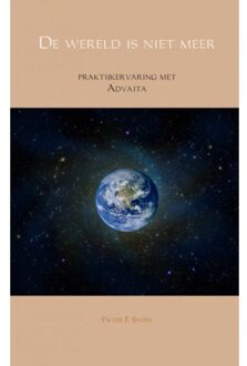 Brave New Books De wereld is niet meer - Boek Pieter F. Snoek (9402116559)