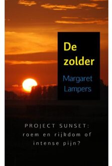Brave New Books De zolder - Boek Margaret Lampers (9402121625)