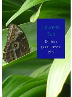 Brave New Books Dit kan geen toeval zijn - Boek Lourens Tuk (9402138218)