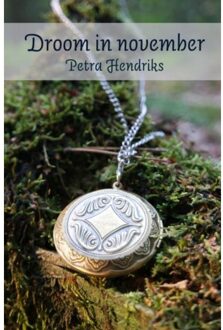 Brave New Books Droom in november - Boek Petra Hendriks (9402153985)