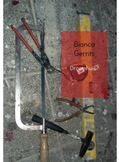 Brave New Books Droomhuis? - Boek Bianca Gerrits (9402161546)