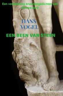 Brave New Books Een been van steen - (ISBN:9789464488272)