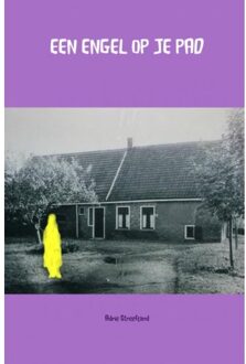Brave New Books Een engel op je pad - Boek Adrie Streefland (9402172661)