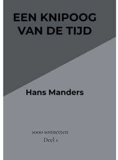 Brave New Books Een Knipoog Van De Tijd - Hans Manders