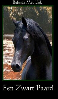 Brave New Books Een zwart paard - eBook Belinda Meuldijk (9402102094)