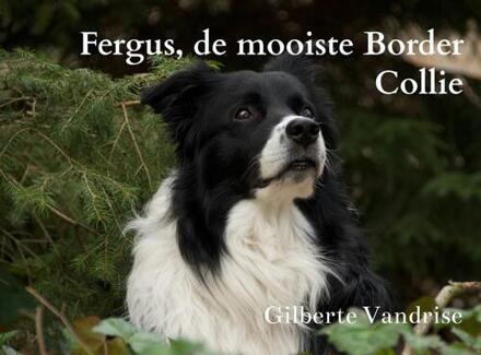 Brave New Books Fergus, de mooiste Border Collie