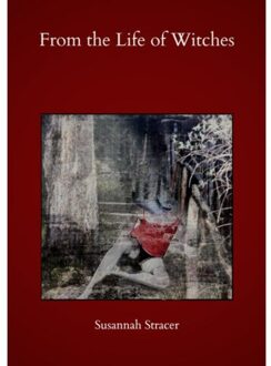 Brave New Books From The Life Of Witches - Susannah Stracer