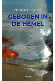 Brave New Books Geboren in de hemel