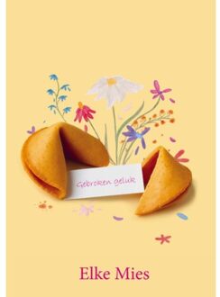 Brave New Books Gebroken Geluk - Elke Mies