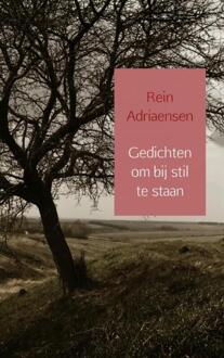 Brave New Books Gedichten Om Bij Stil Te Staan - (ISBN:9789402186604)