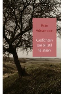 Brave New Books Gedichten Om Bij Stil Te Staan - (ISBN:9789402186604)