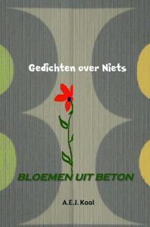 Brave New Books Gedichten over niets - Boek A.E.J. Kaal (9402135774)