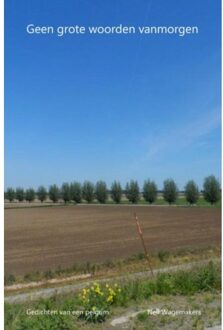 Brave New Books Geen grote woorden vanmorgen - Boek Nell Wagemakers (9402161279)