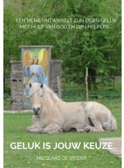 Brave New Books Geluk is een keuze - (ISBN:9789402133790)