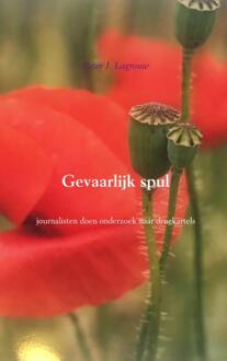 Brave New Books Gevaarlijk spul - Boek Peter J. Lagrouw (9402171711)