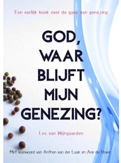 Brave New Books God, Waar Blijft Mijn Genezing? - Leo Van Wijngaarden