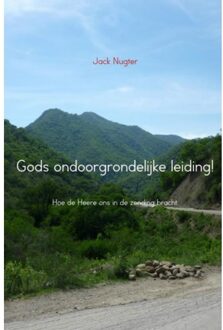 Brave New Books Gods ondoorgrondelijke leiding! - Boek Jack Nugter (9402103368)
